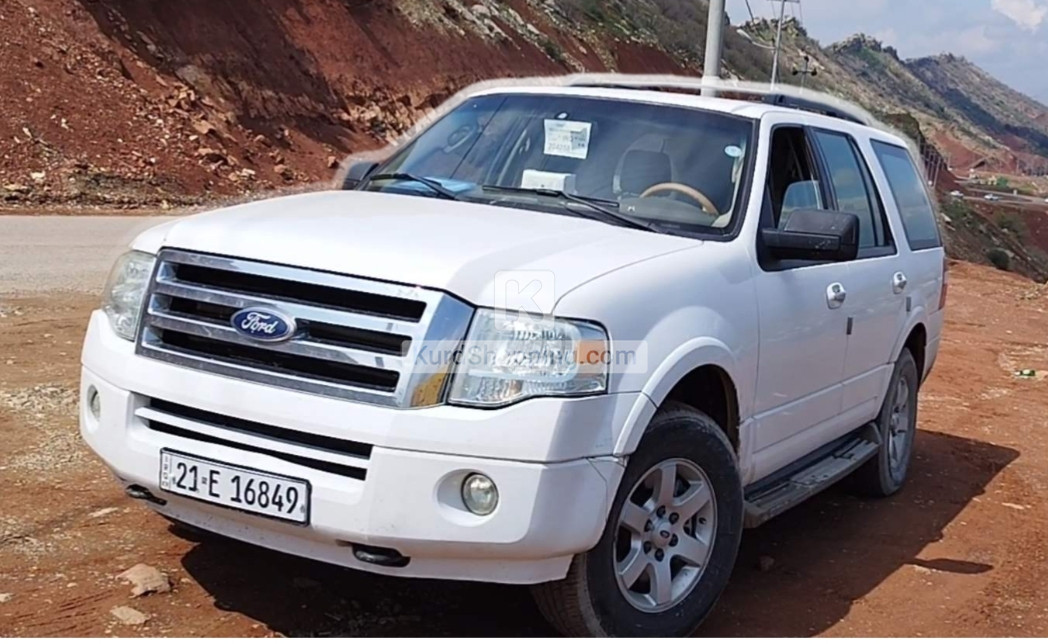 Ford Expedition 2010