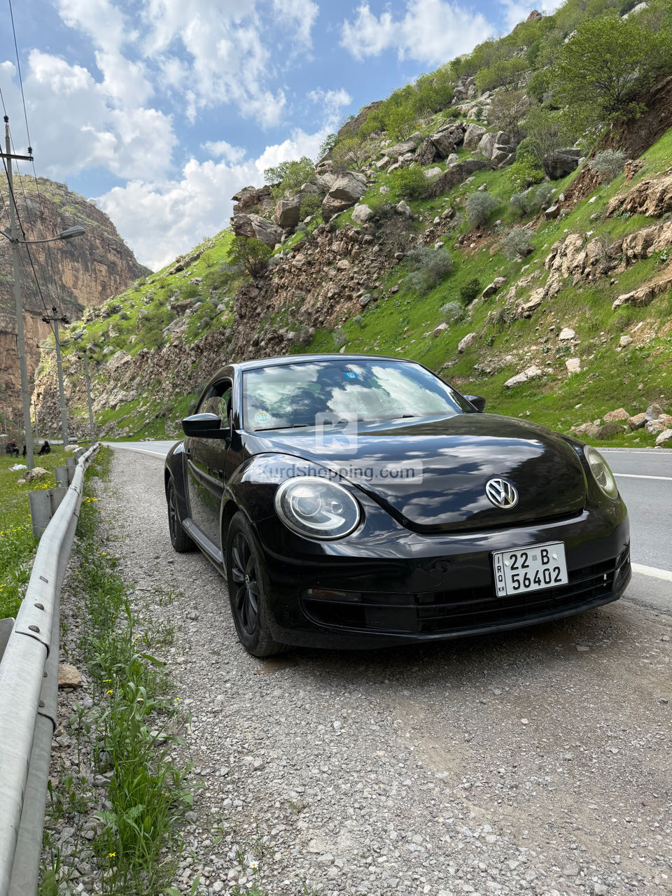VOLKSWAGEN BEETLE