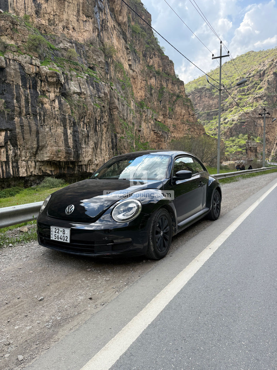 VOLKSWAGEN BEETLE