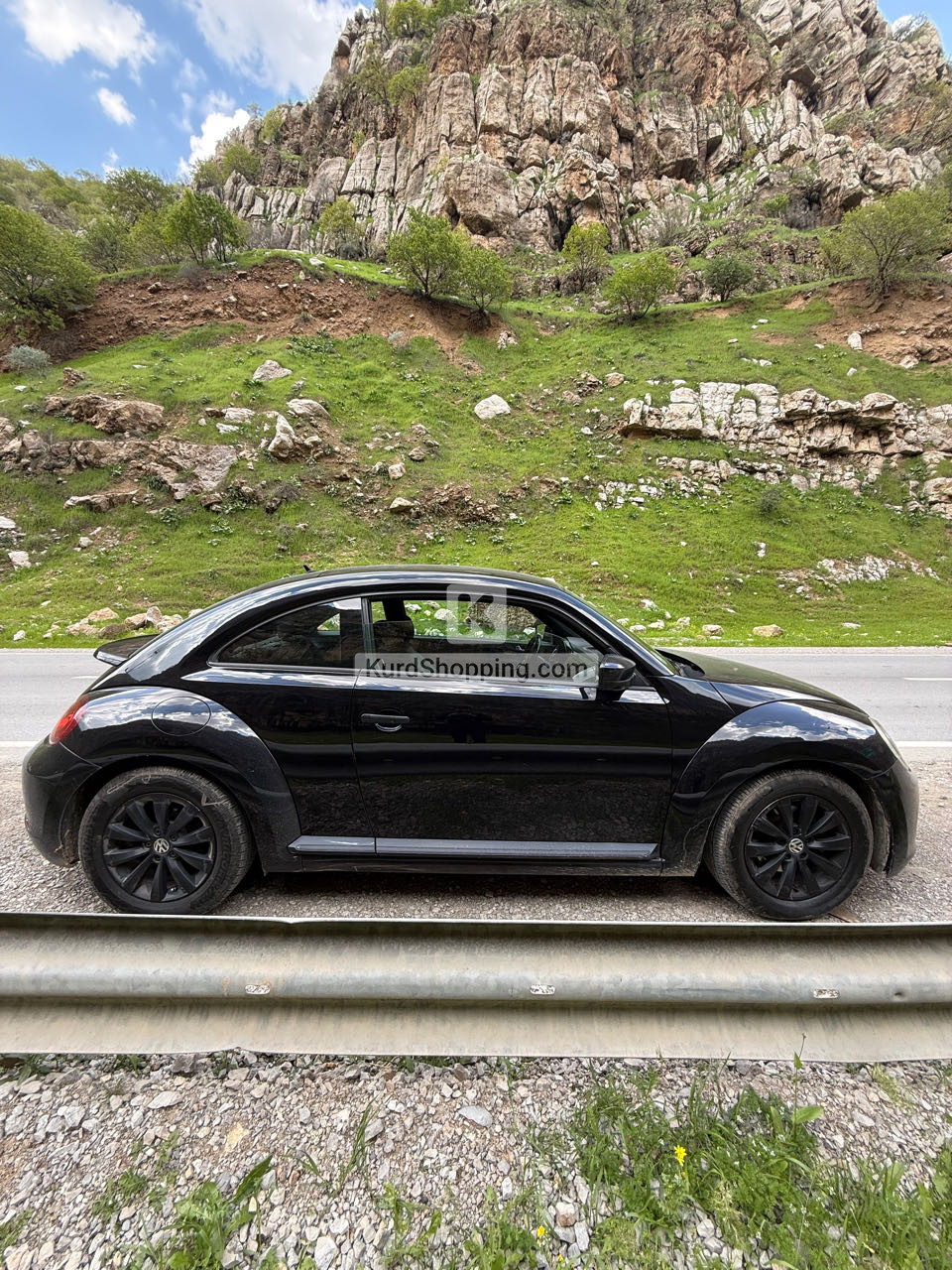 VOLKSWAGEN BEETLE