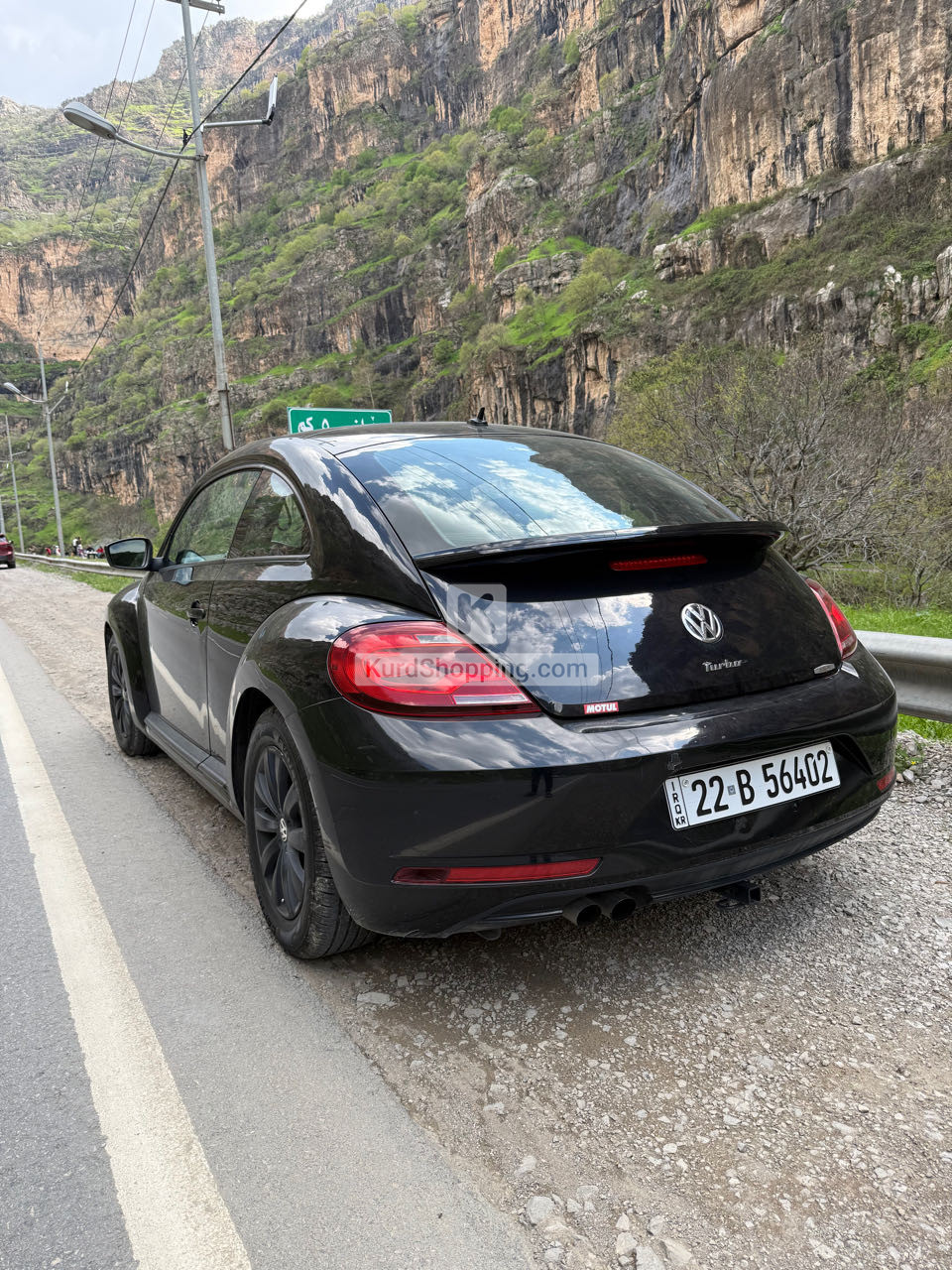 VOLKSWAGEN BEETLE