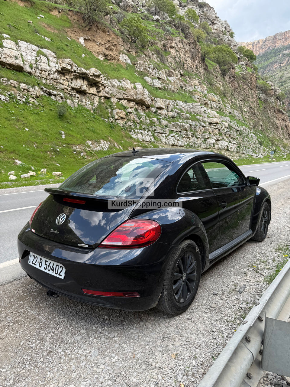 VOLKSWAGEN BEETLE
