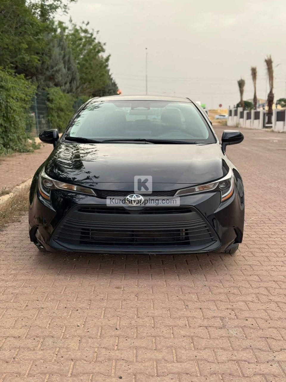 Toyota Corolla 2024