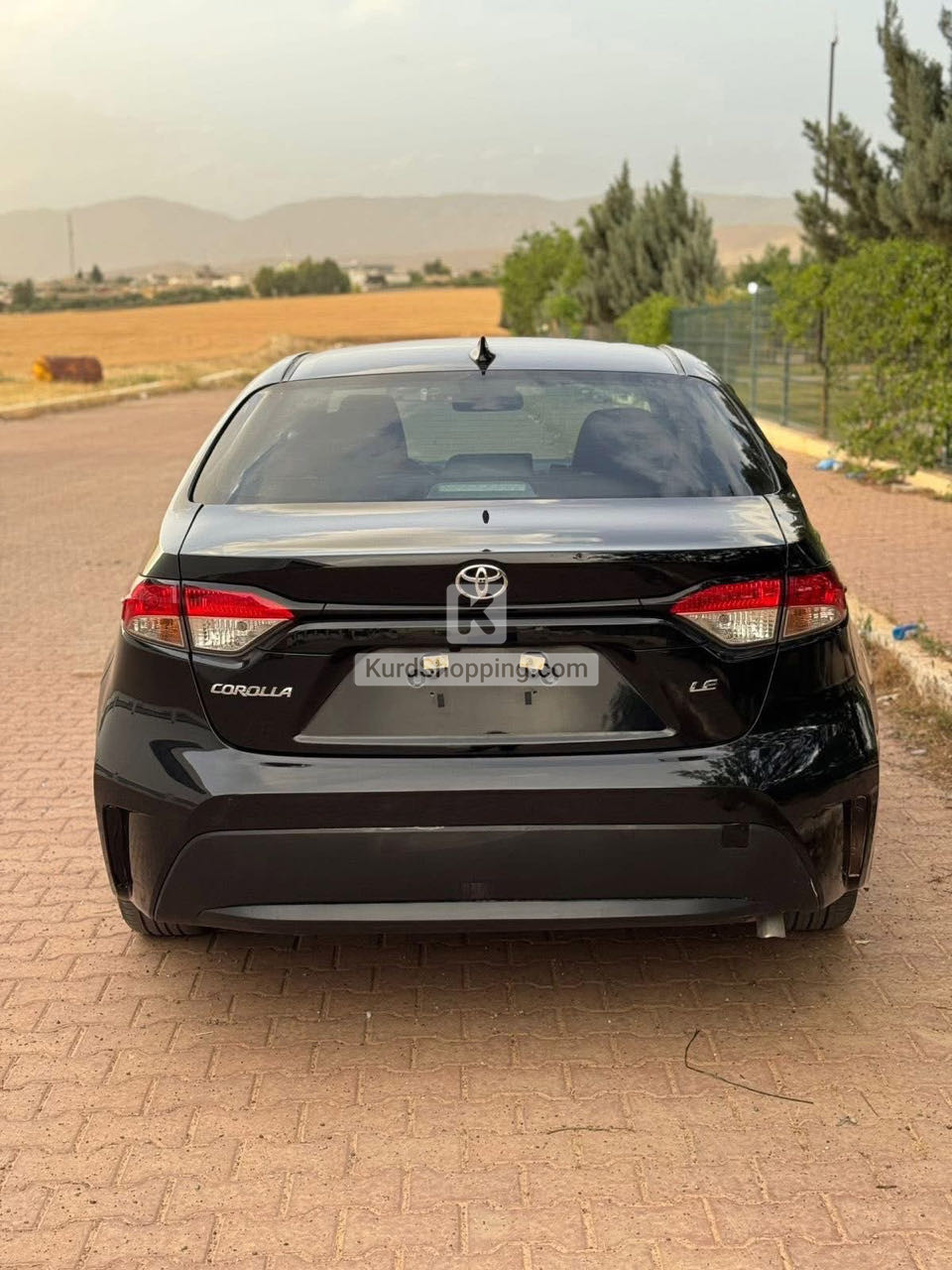 Toyota Corolla 2024