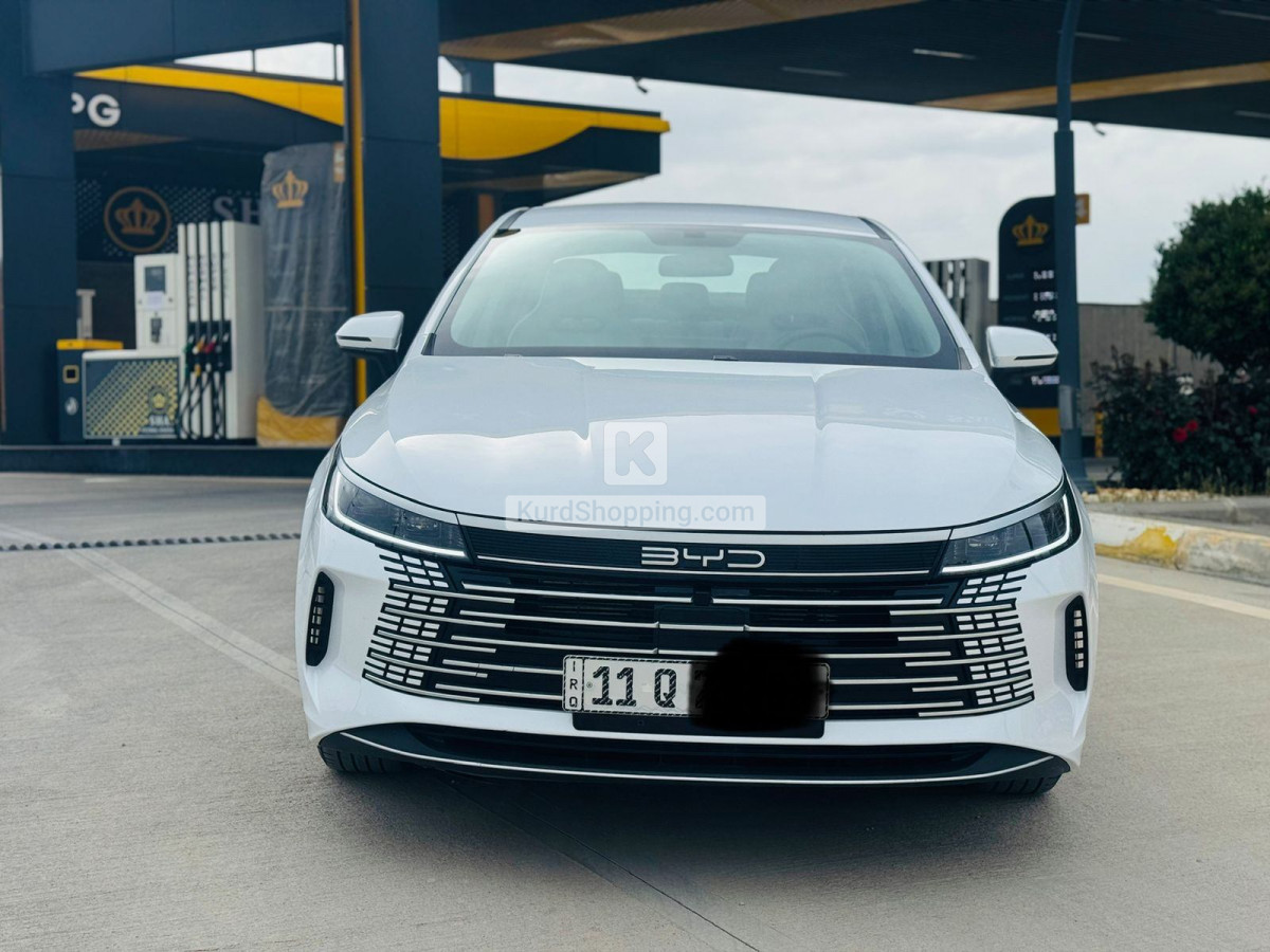 BYD DESTROYER 05 2026