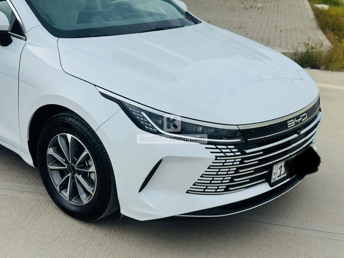 BYD DESTROYER 05 2026