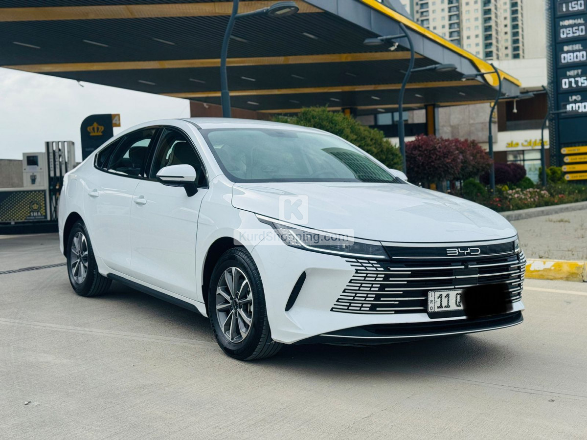 BYD DESTROYER 05 2026