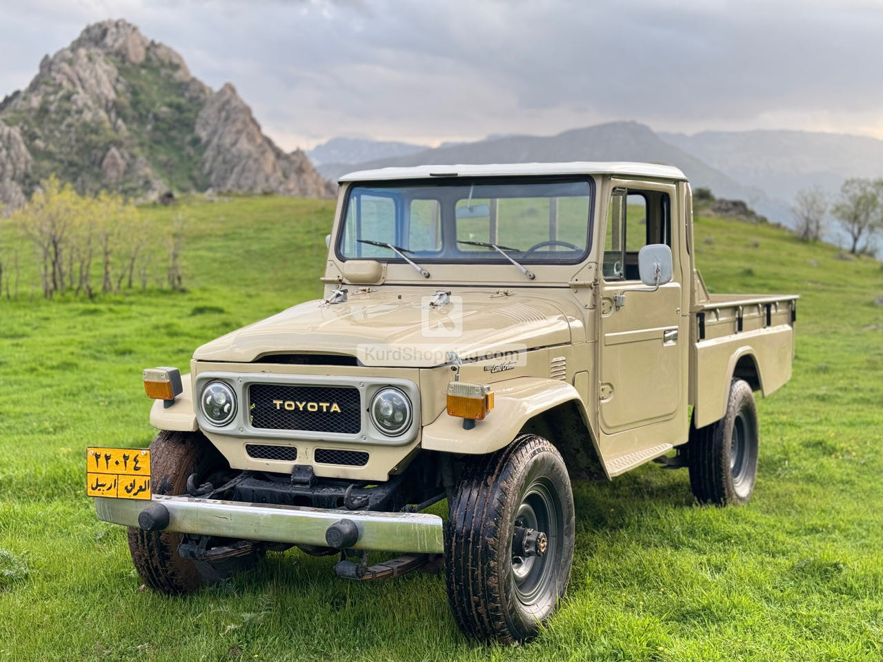 Toyota FJ Cruiser 1984