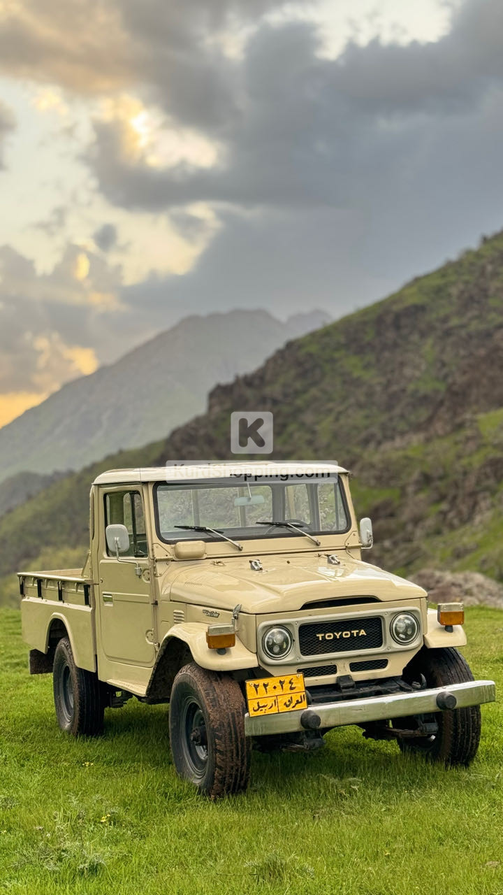 Toyota FJ Cruiser 1984