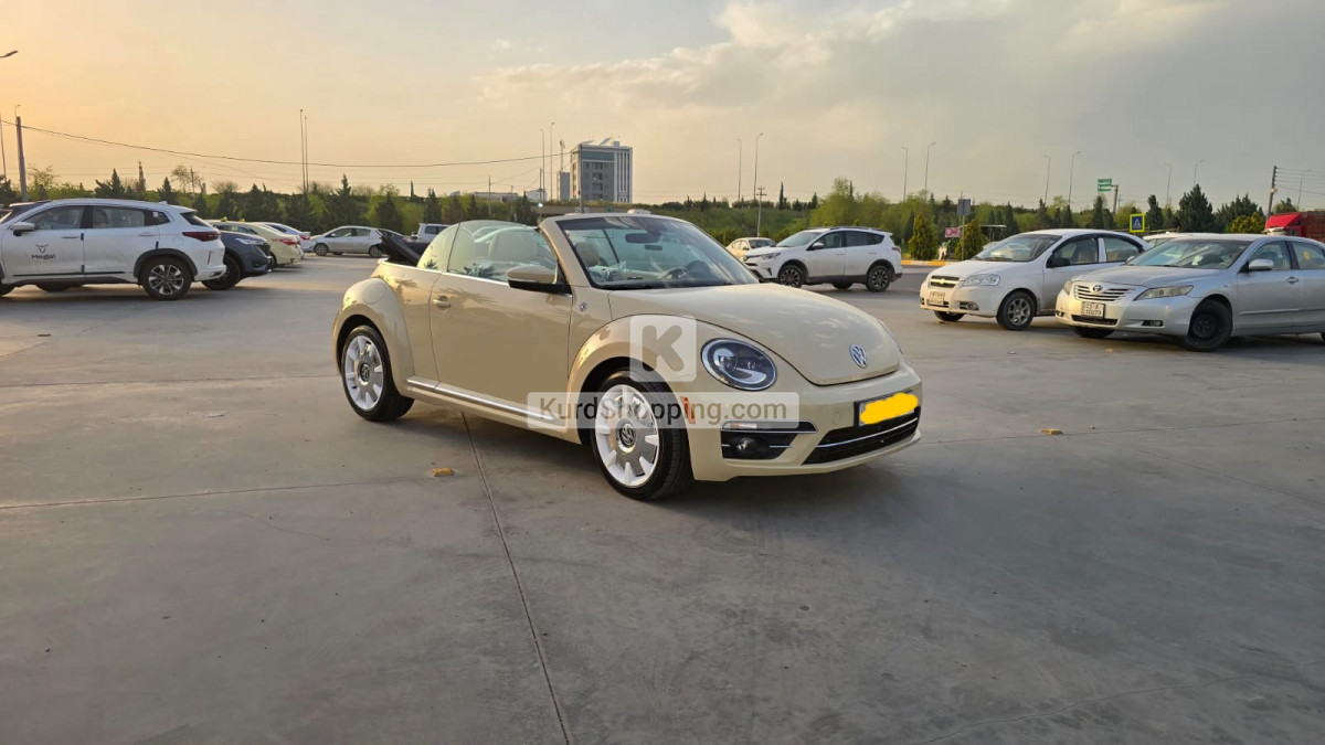 Volkswagen Beetle 2019 2.0L