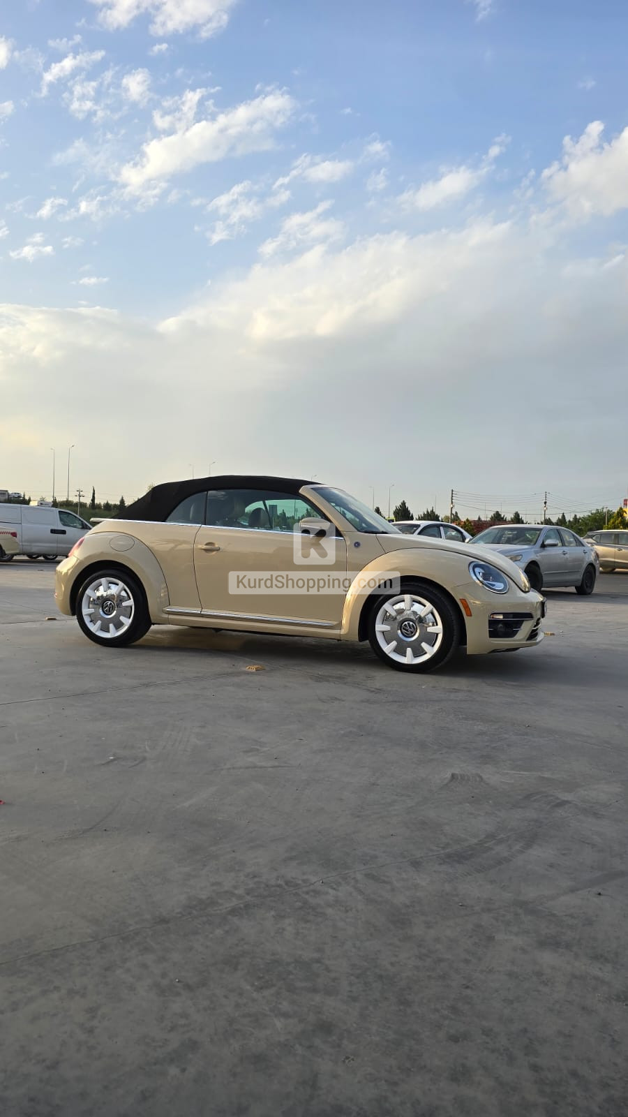 Volkswagen Beetle 2019 2.0L