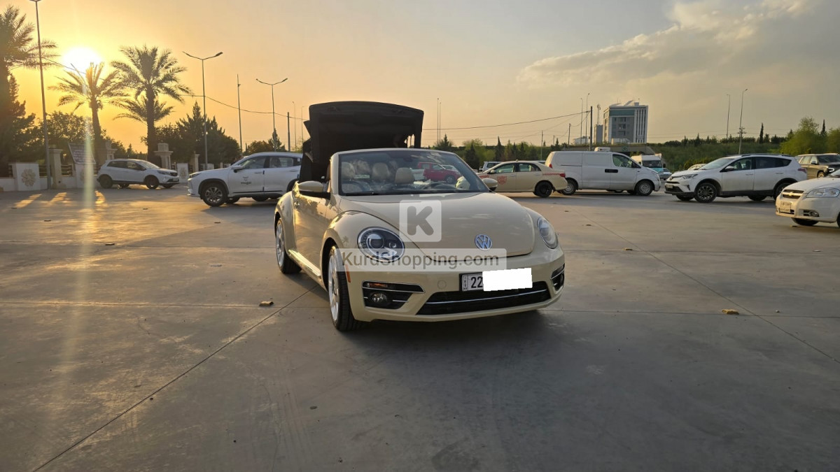 Volkswagen Beetle 2019 2.0L