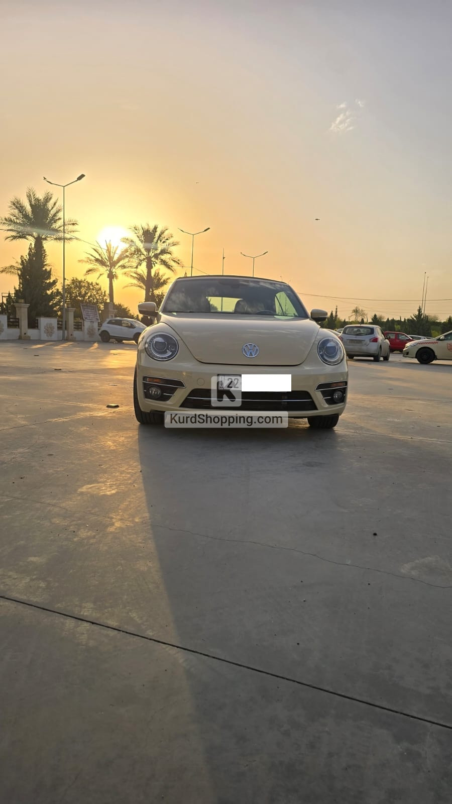 Volkswagen Beetle 2019 2.0L
