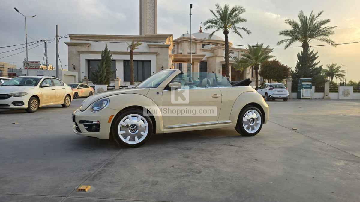 Volkswagen Beetle 2019 2.0L