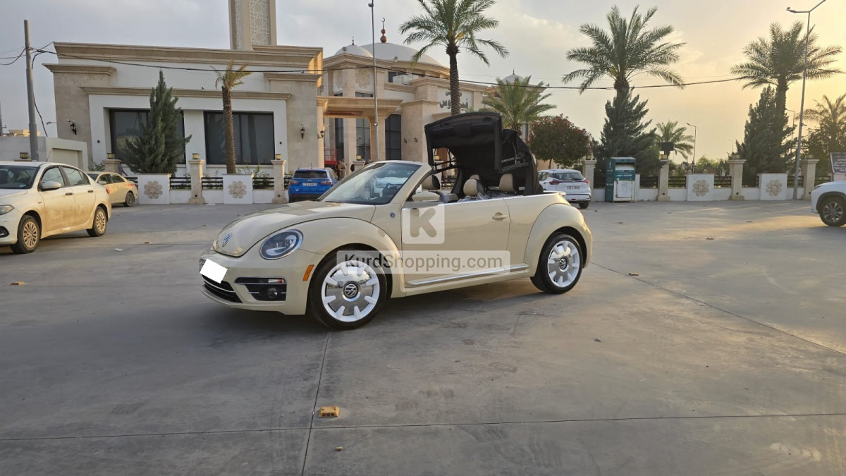 Volkswagen Beetle 2019 2.0L