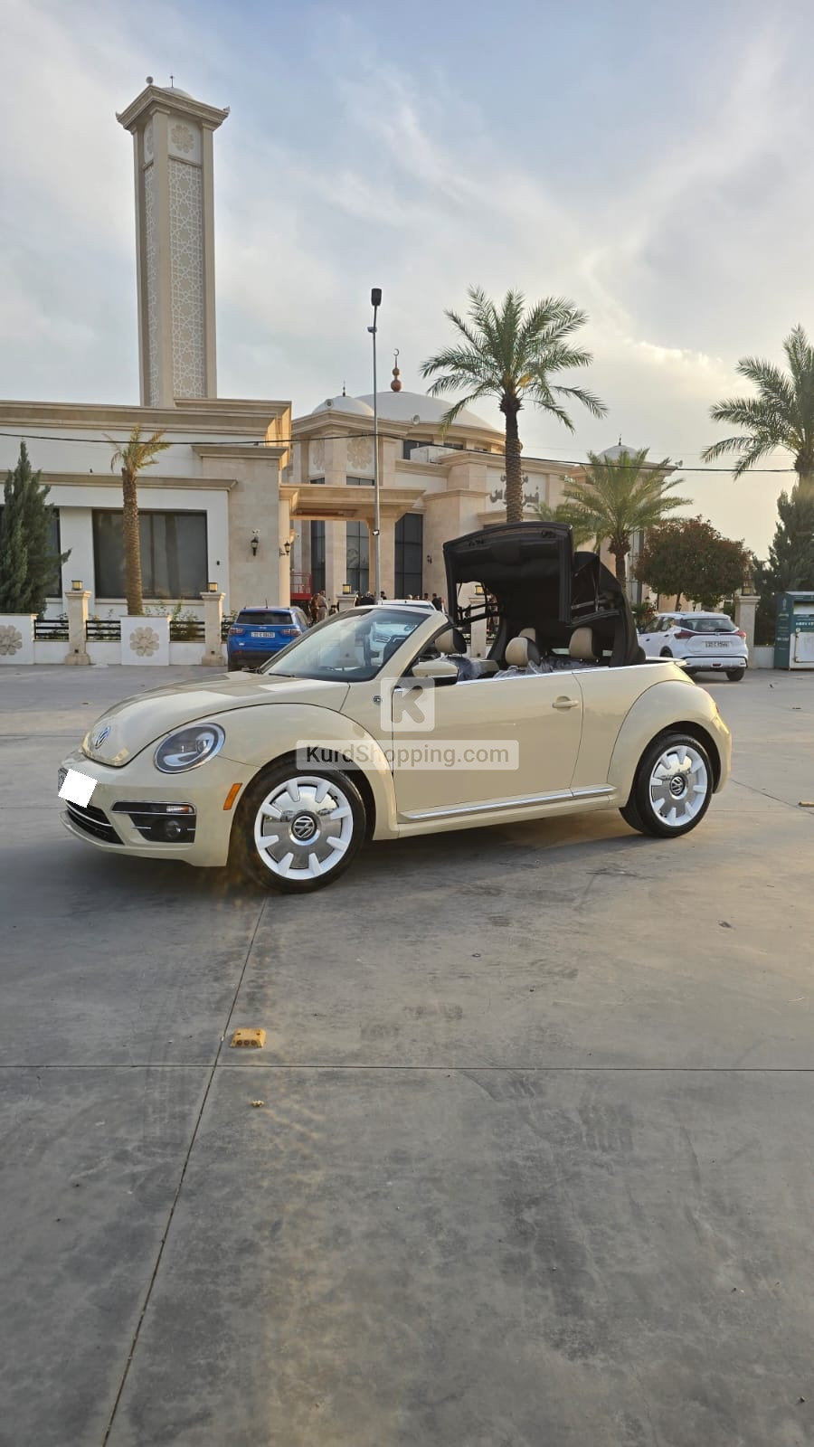 Volkswagen Beetle 2019 2.0L