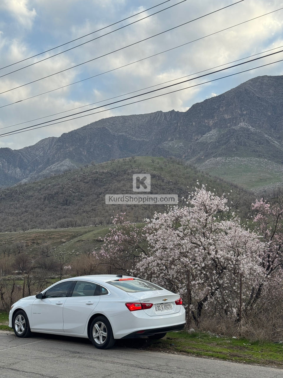 Chevrolet Malibu 2023
