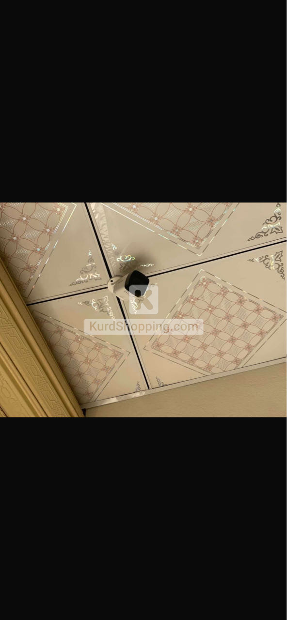 billiard camera