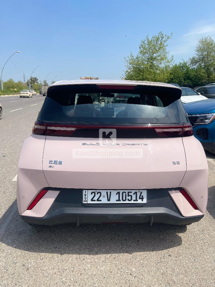 BYD Seagull 2024 EV