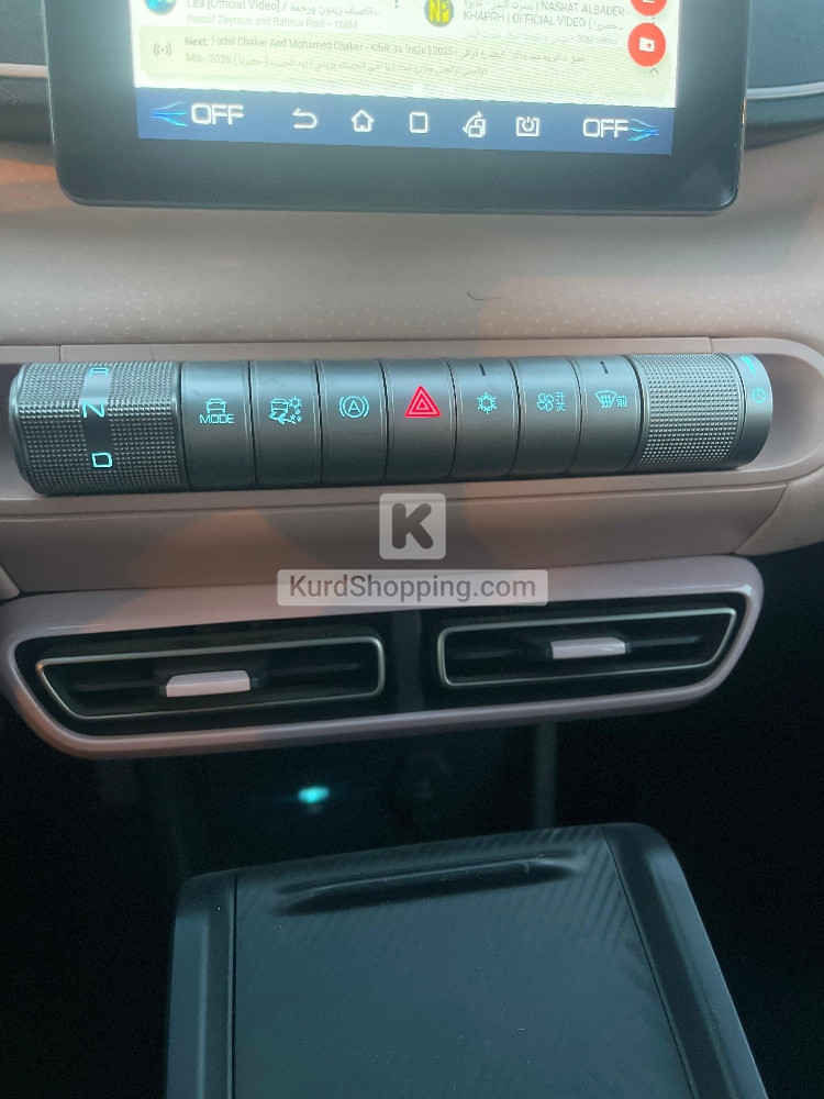 BYD Seagull 2024 EV