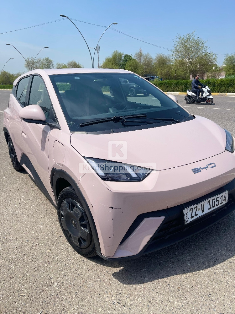 BYD Seagull 2024 EV