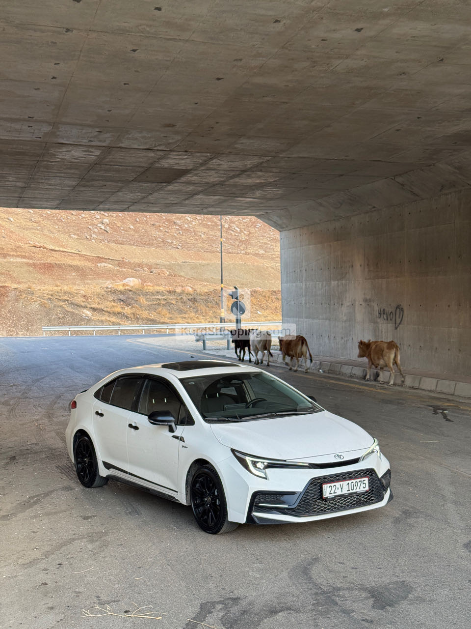 Toyota Corolla 2024