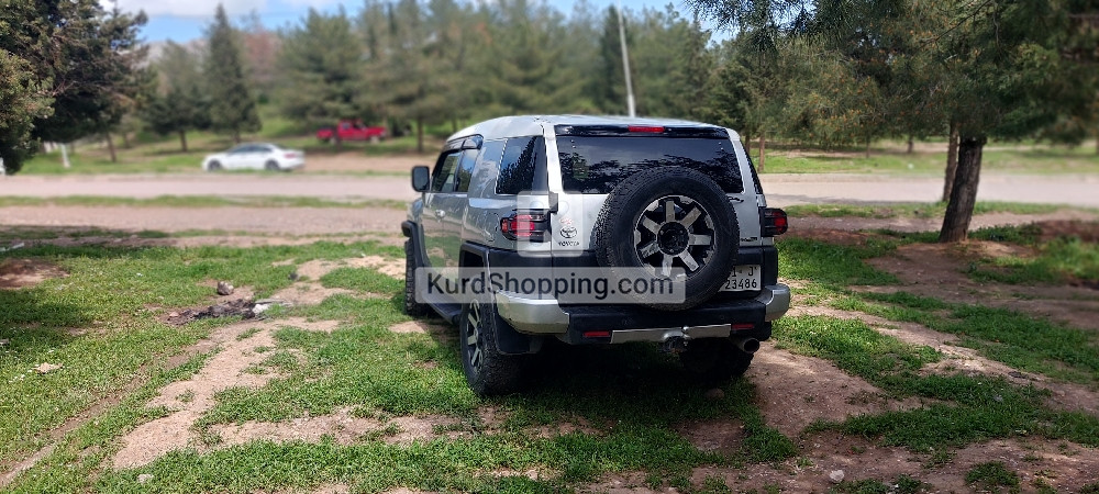Toyota FJ Cruiser 2010