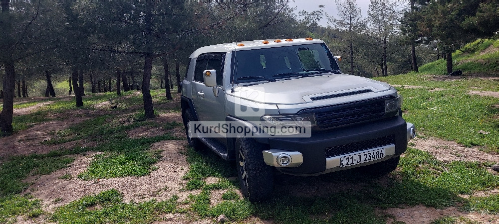 Toyota FJ Cruiser 2010