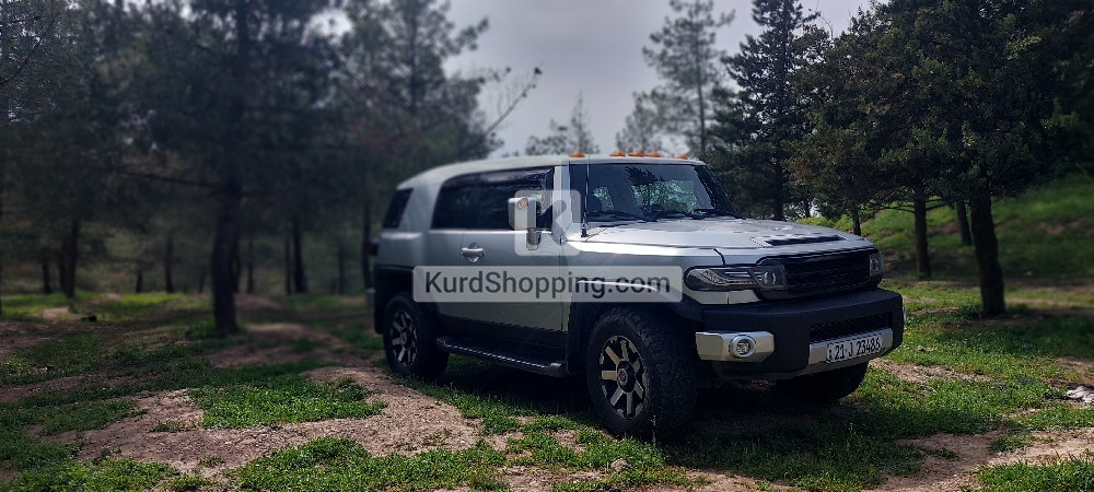 Toyota FJ Cruiser 2010