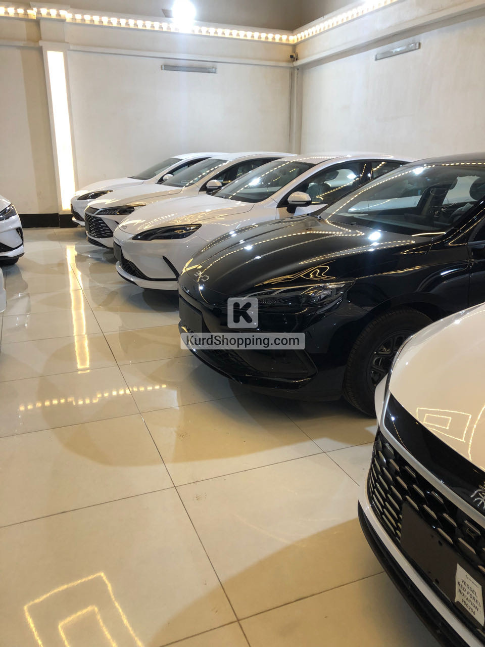 BYD DESTROYER 05 2025