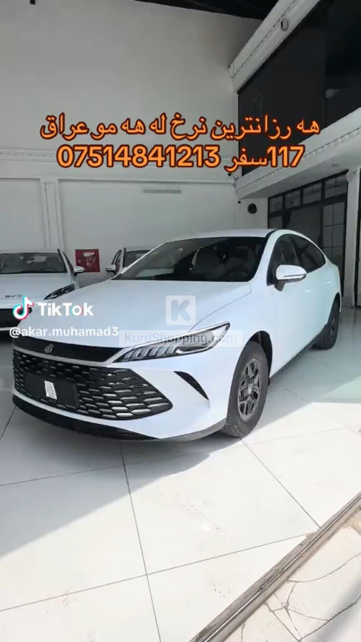 BYD QIN PLUS 2025