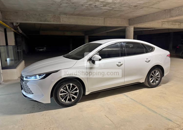 BYD DESTROYER 05 2025