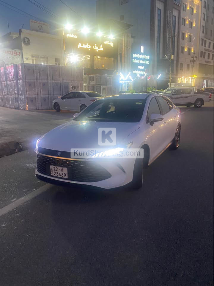 BYD DESTROYER 05 2025