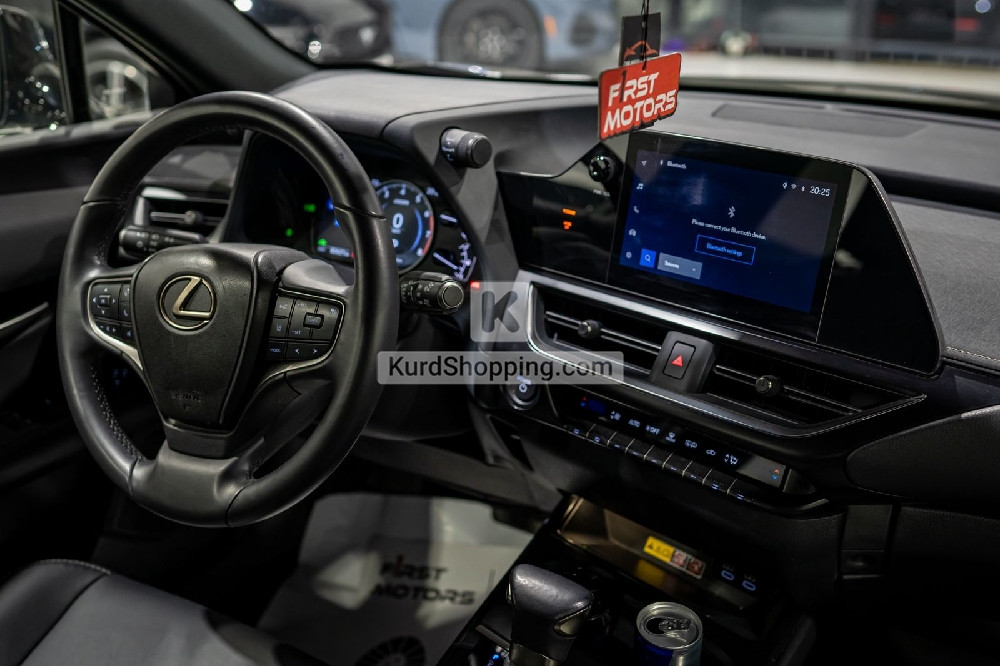 Lexus RX350 2024