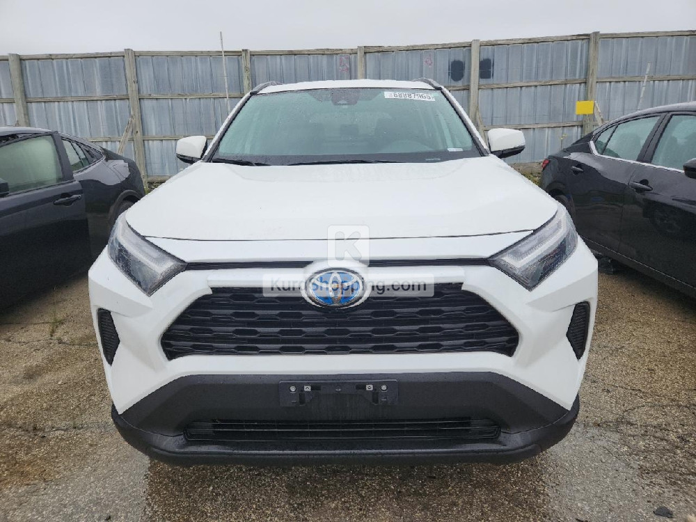 Toyota Rav4 2024