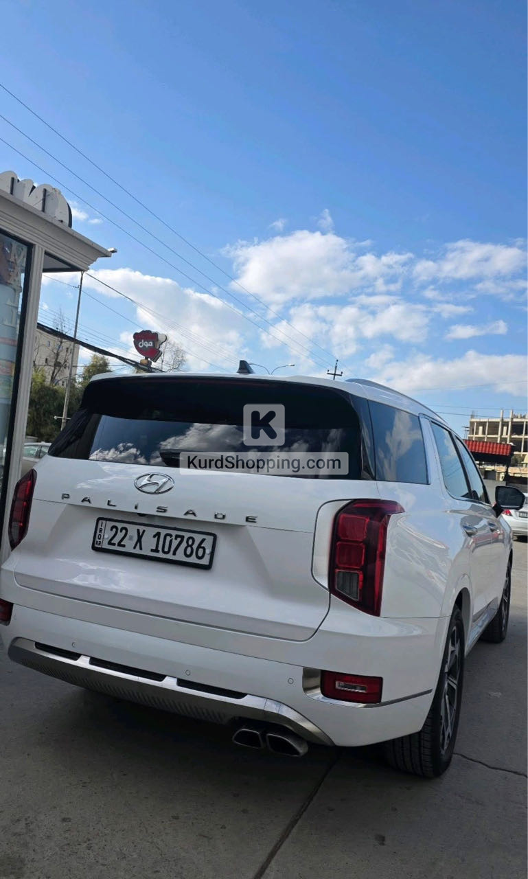 Hyundai Palisade 2022