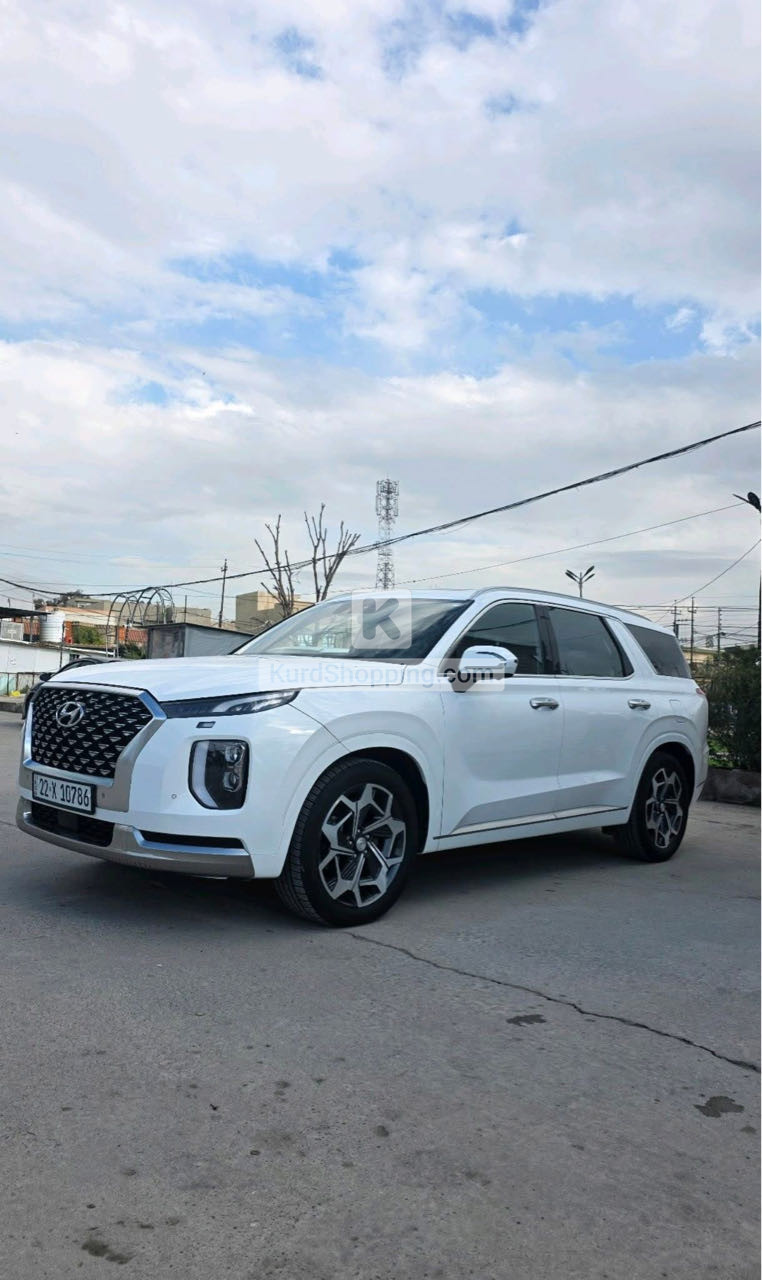 Hyundai Palisade 2022