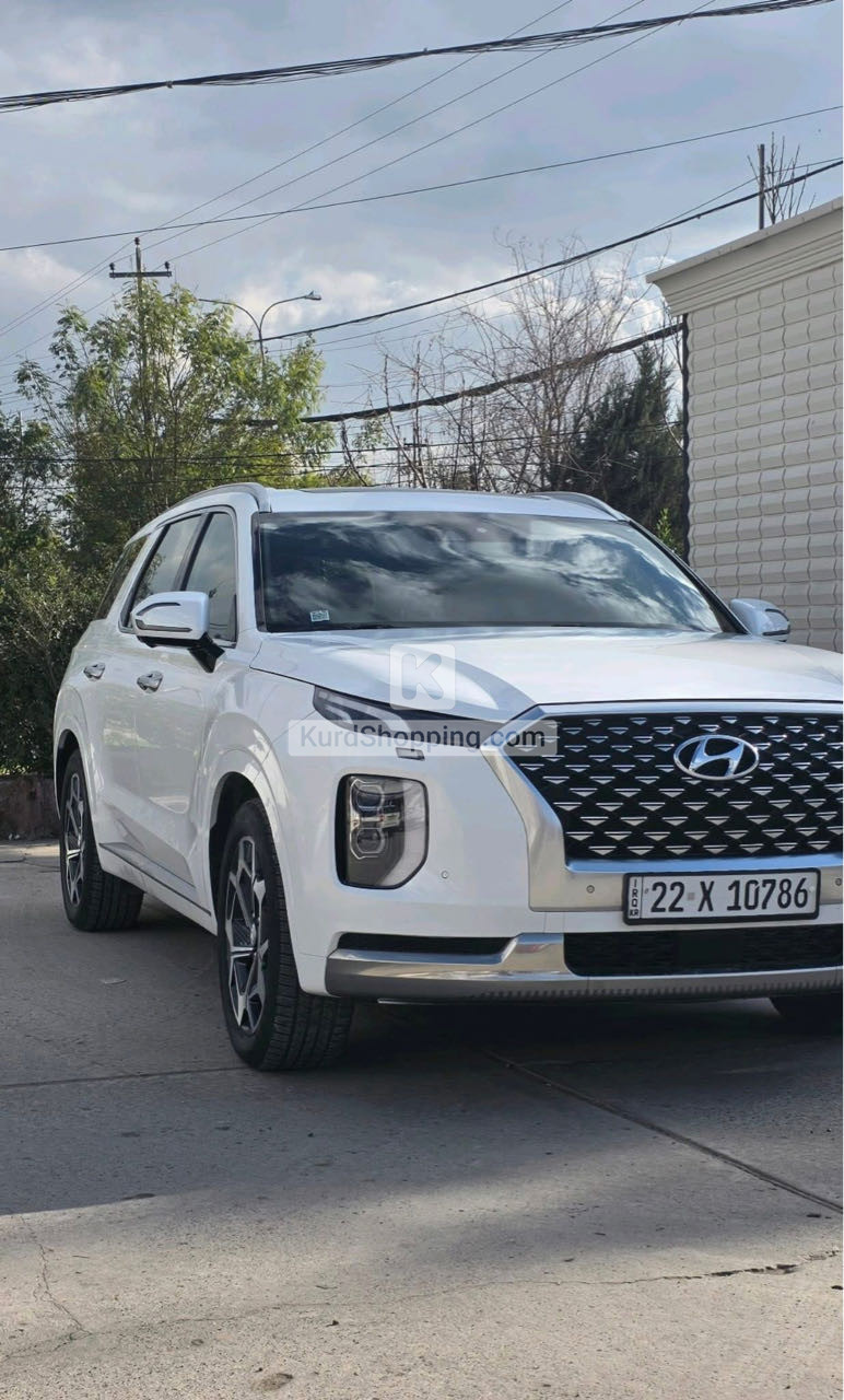 Hyundai Palisade 2022