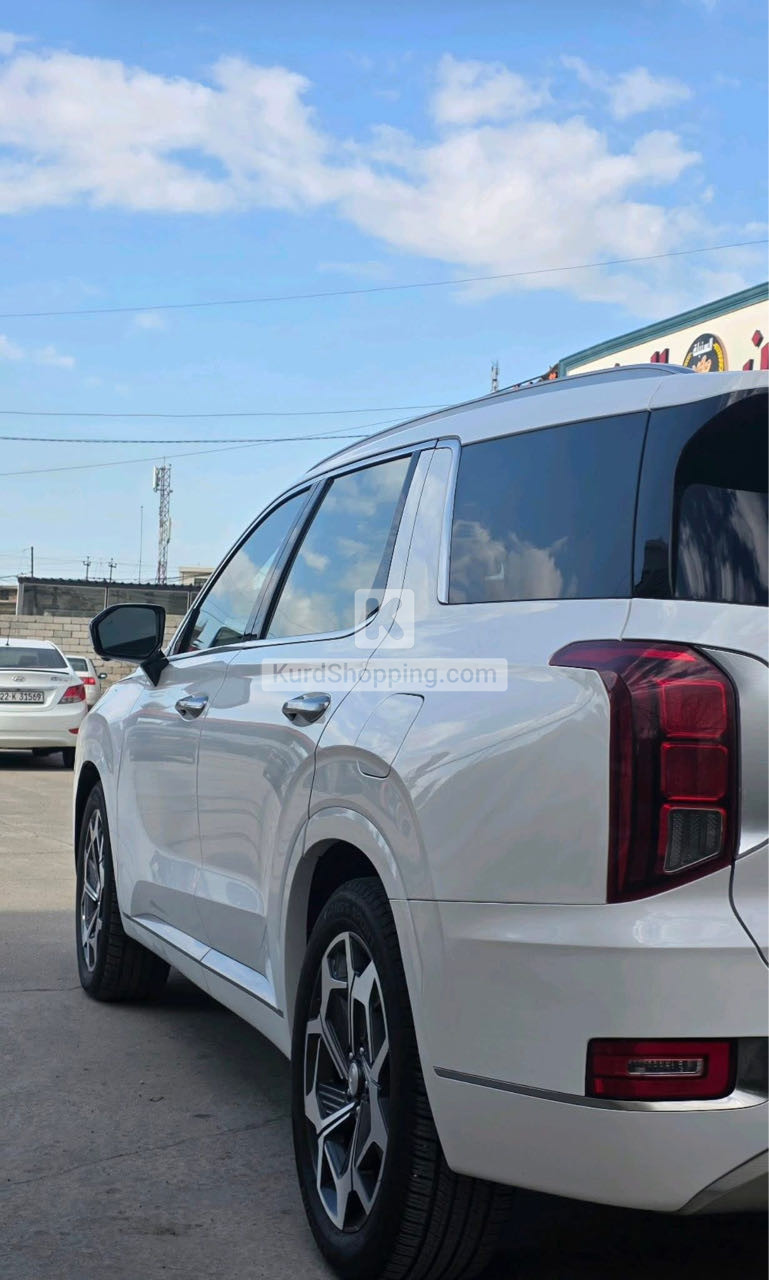 Hyundai Palisade 2022
