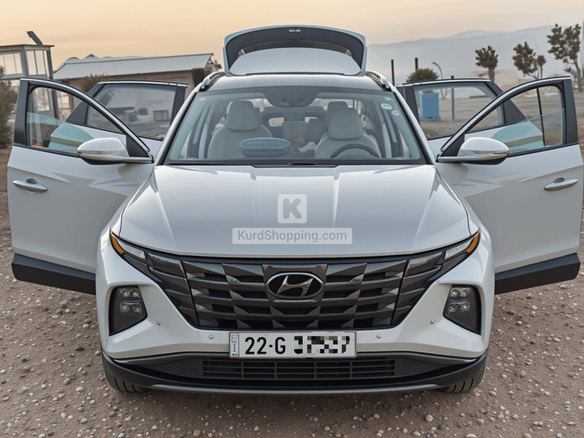 Hyundai Terracan 2022