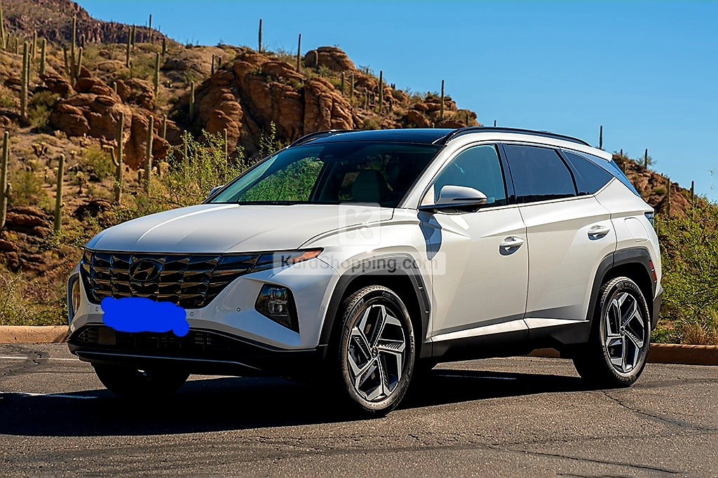 Hyundai Terracan 2022