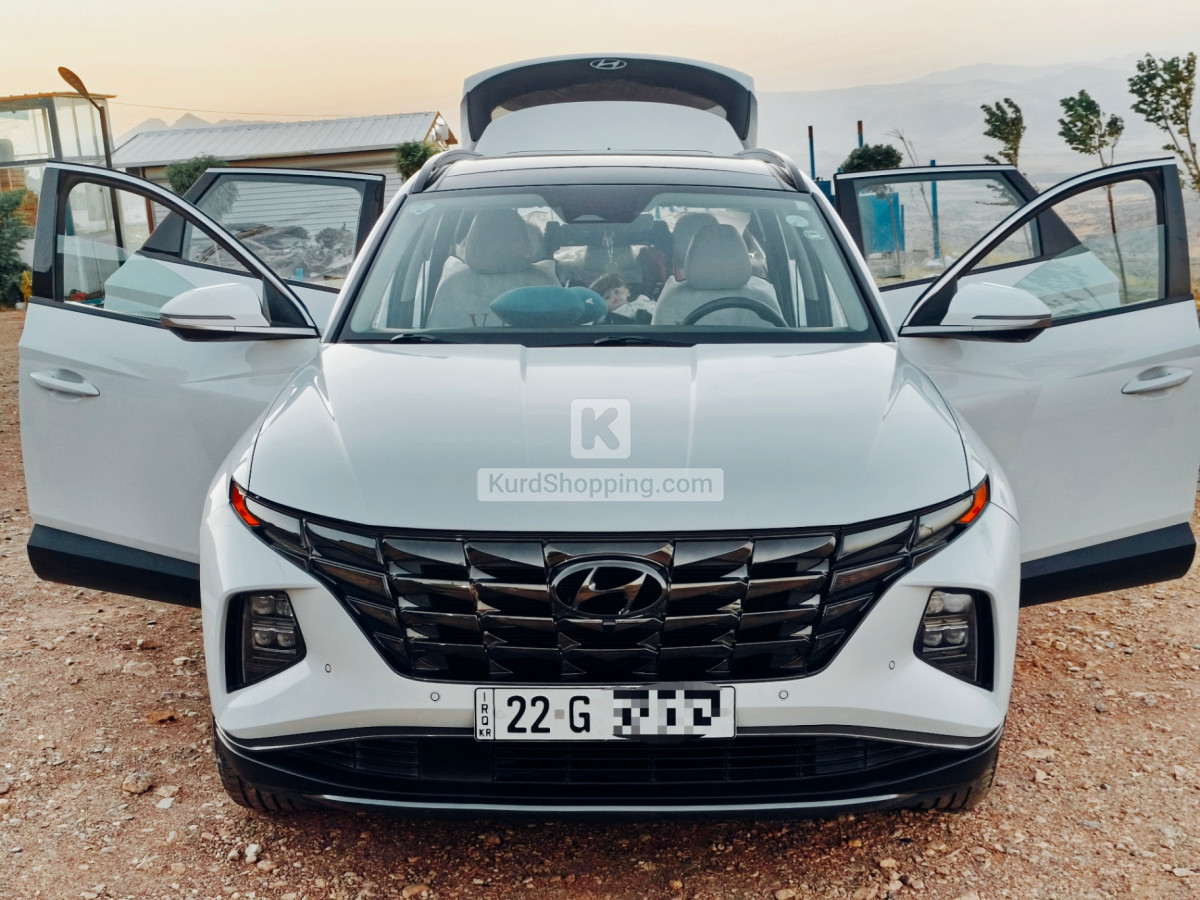 Hyundai Terracan 2022