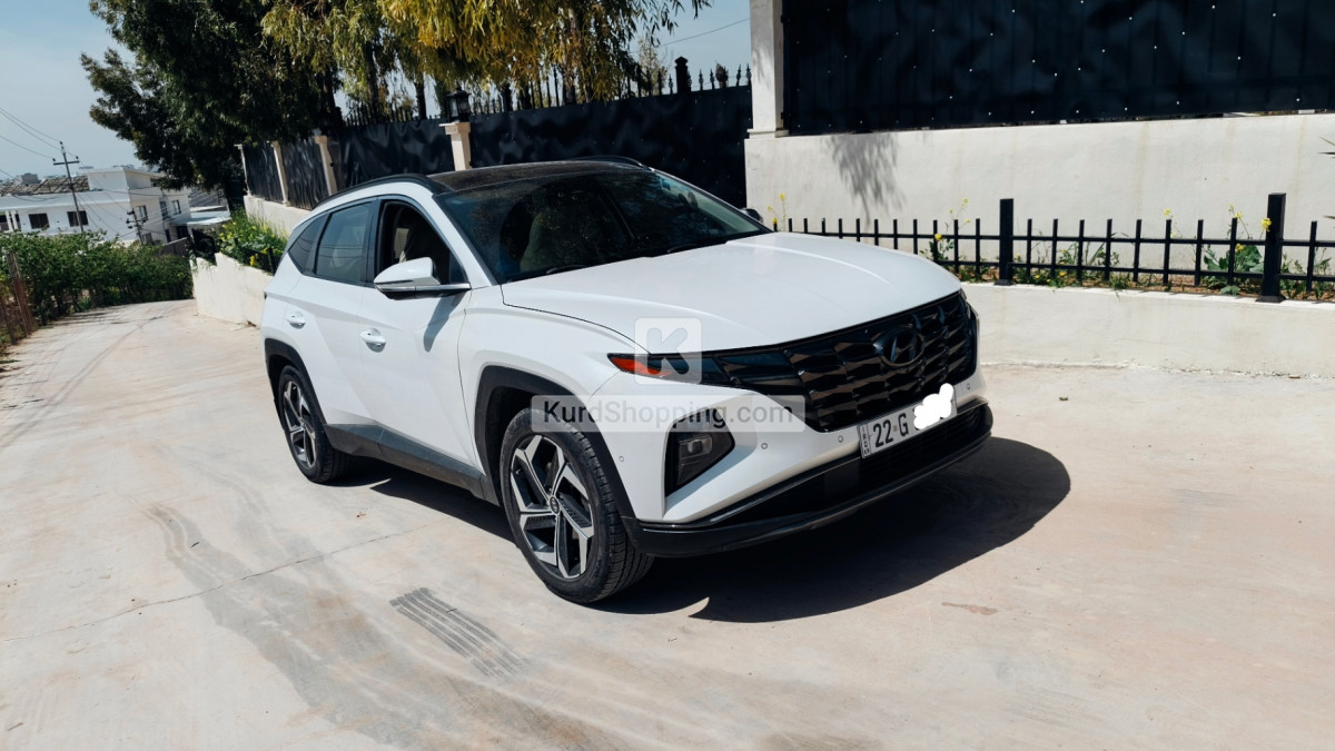 Hyundai Terracan 2022