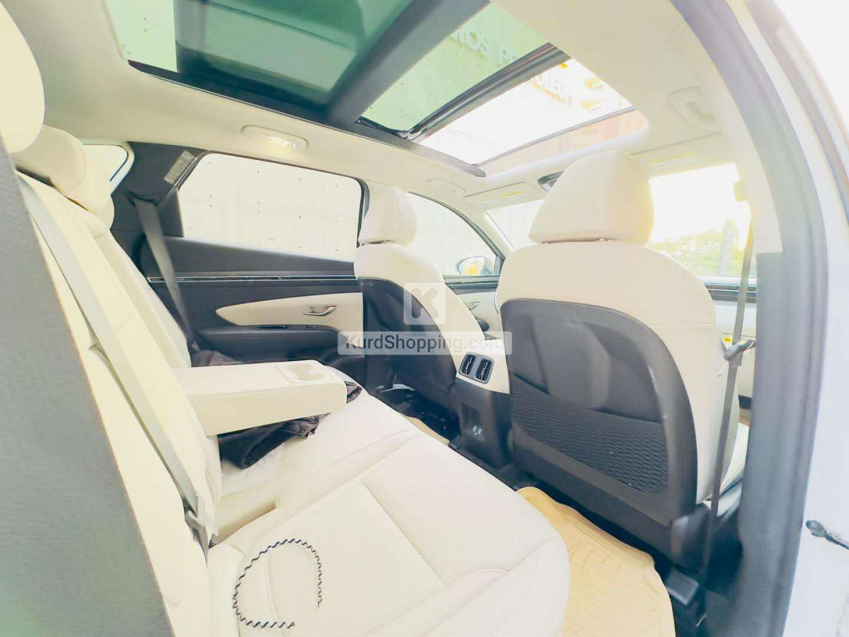 Hyundai Terracan 2022