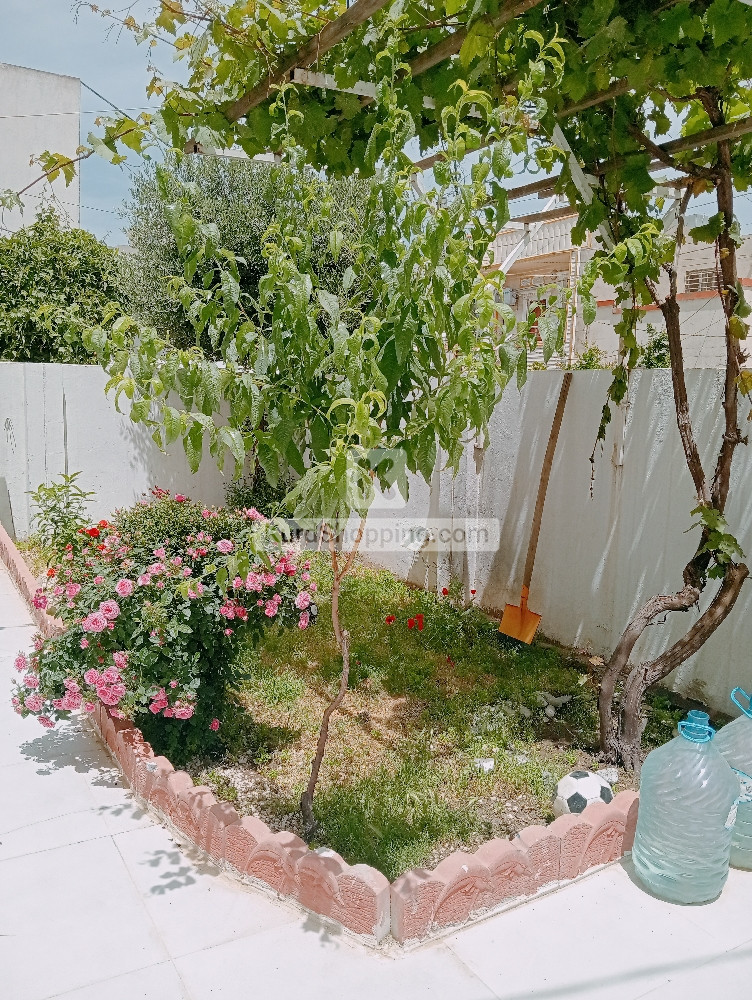فرۆشتنی خانوو