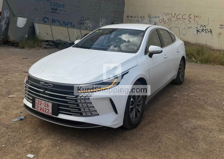 BYD DESTROYER 05 2025