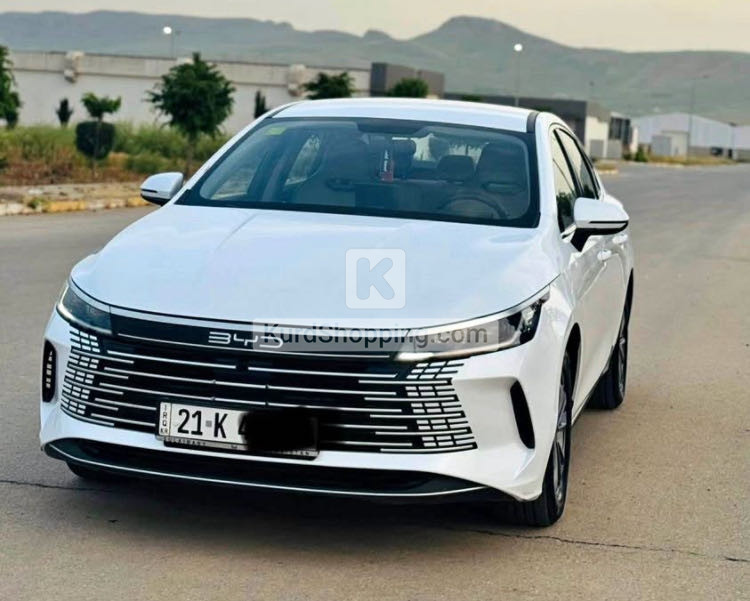 BYD DESTROYER 05 2025