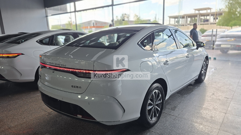 BYD DESTROYER 05 2025