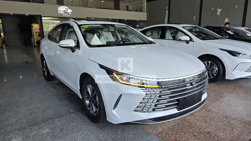 BYD DESTROYER 05 2025