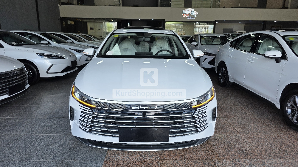 BYD DESTROYER 05 2025